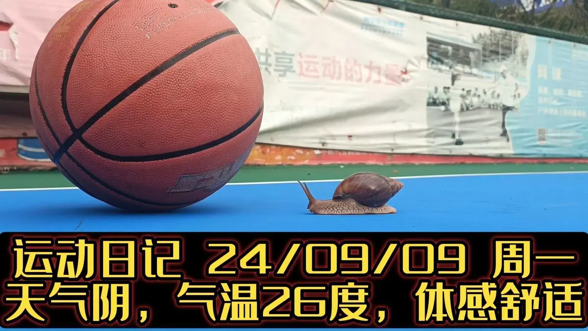 如何制定一个有效的篮球训练支持计划_0